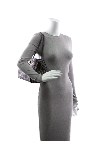 Small Dior Promenade Shopping Bag