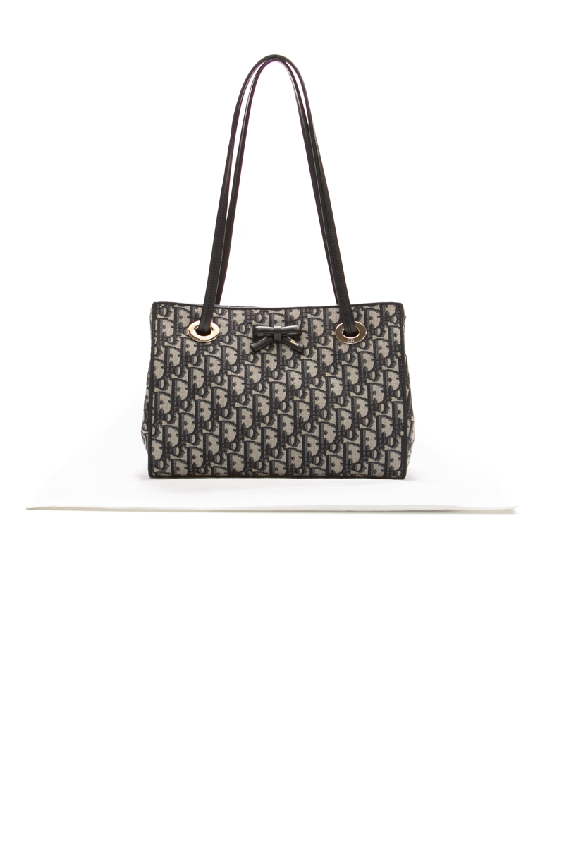 Small Dior Promenade Shopping Bag