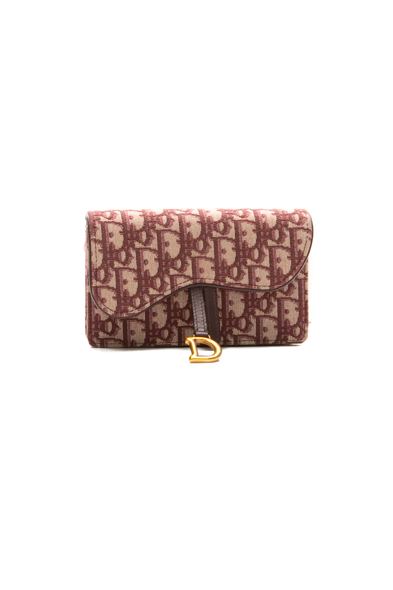 Christian-Dior-Saddle-Belt-Bag-300059