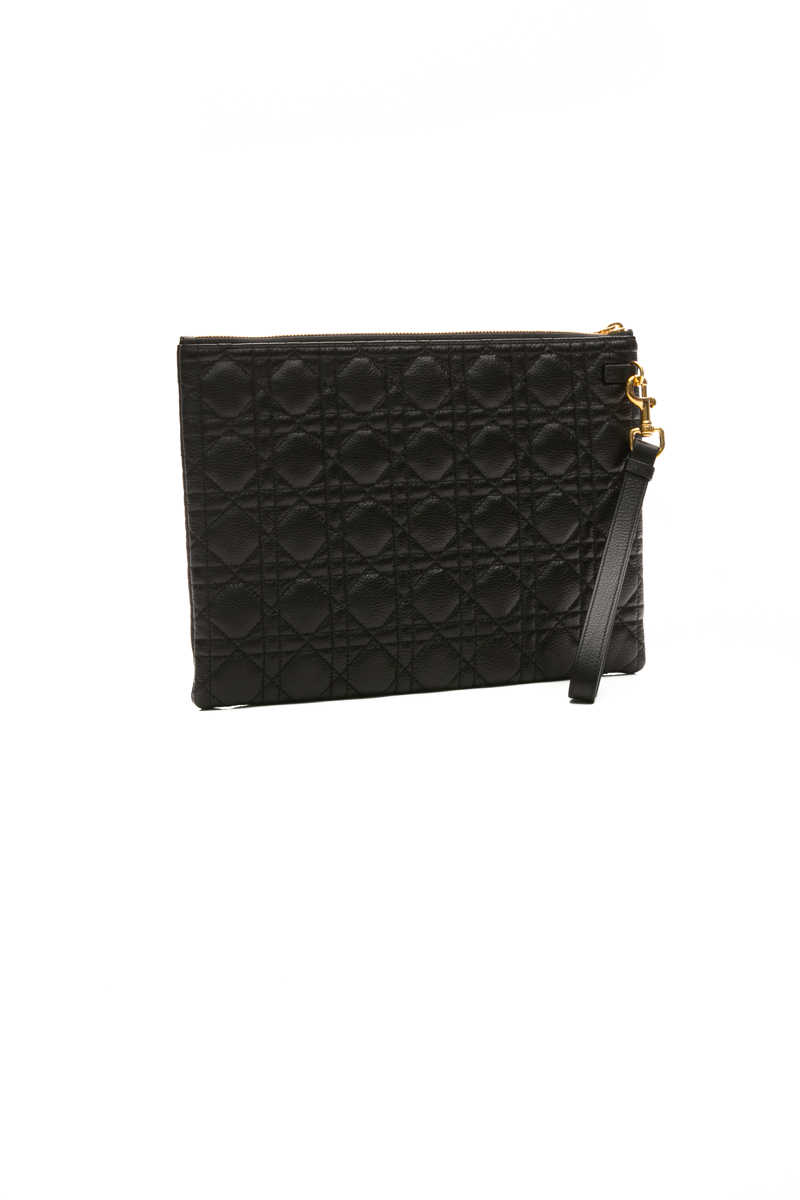 Large Caro Daily Pouch