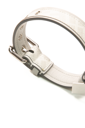 FF Dog Leash and Collar - Size Small