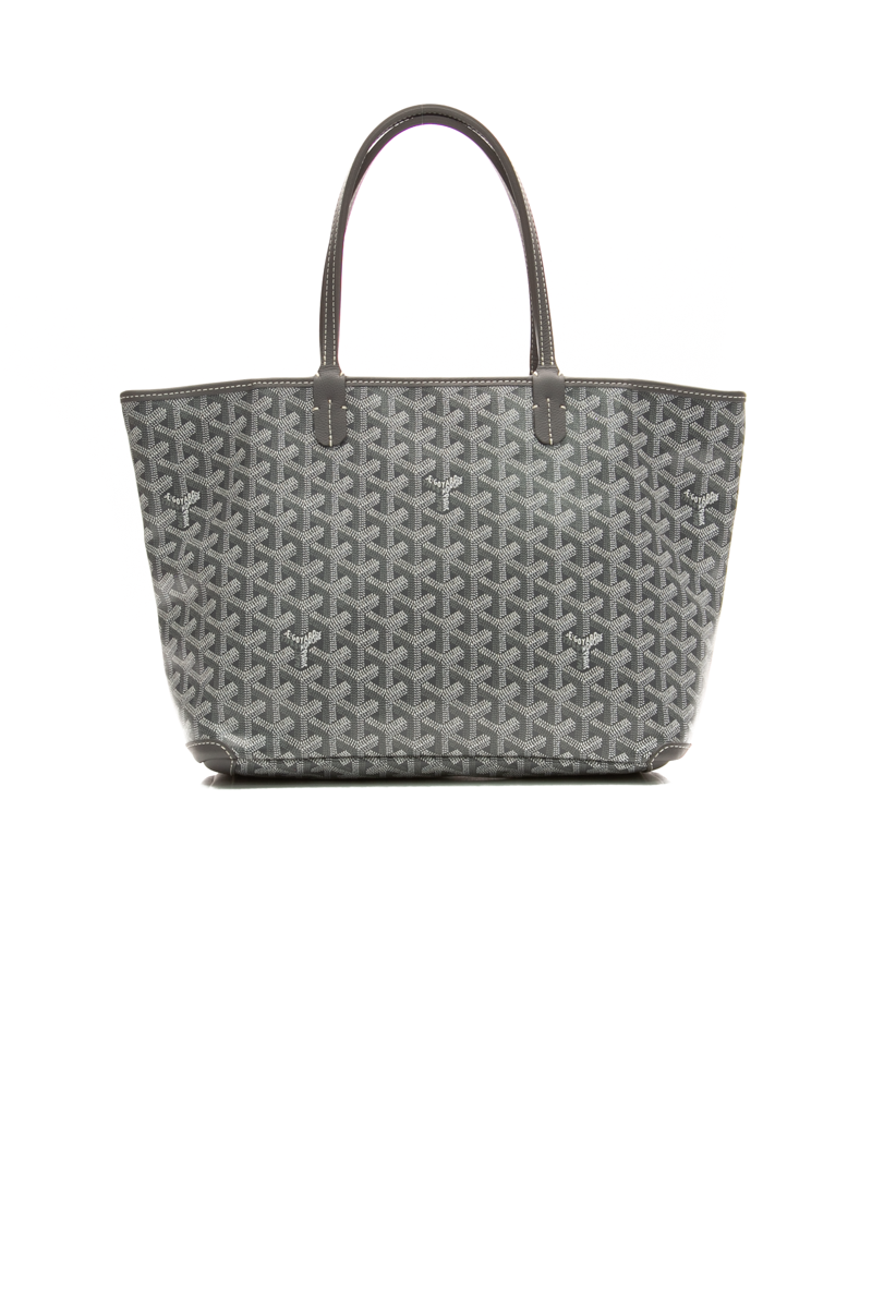 Goyard-Artois-PM-Tote-Bag-299941