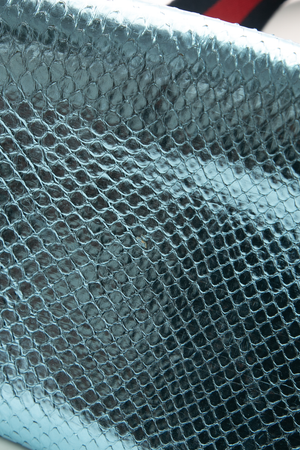 Snakeskin Horsebit 1955 Bag