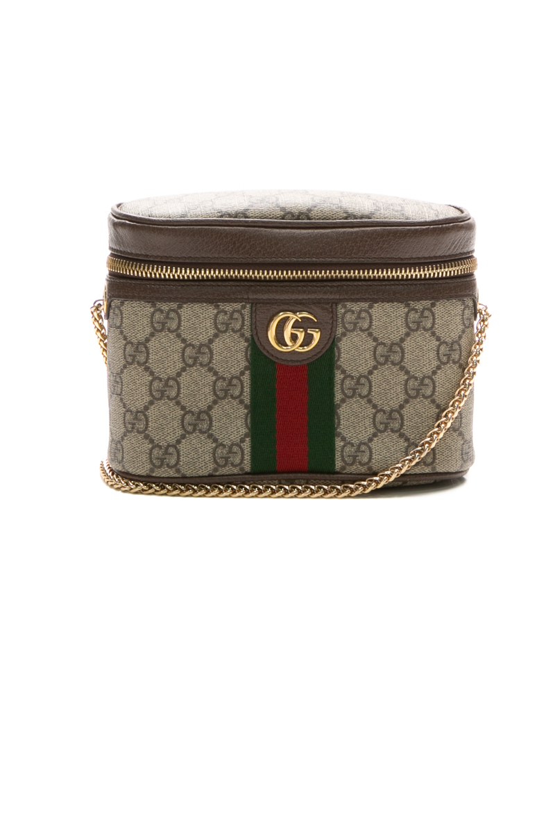 Gucci-Ophidia-GG-Belt-Bag-293820 