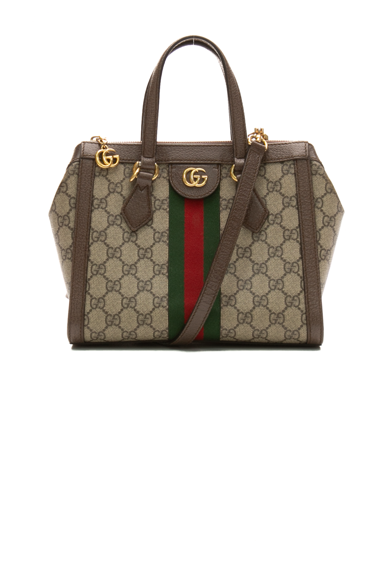 Gucci-Small-Ophidia-Tote-Bag-295691