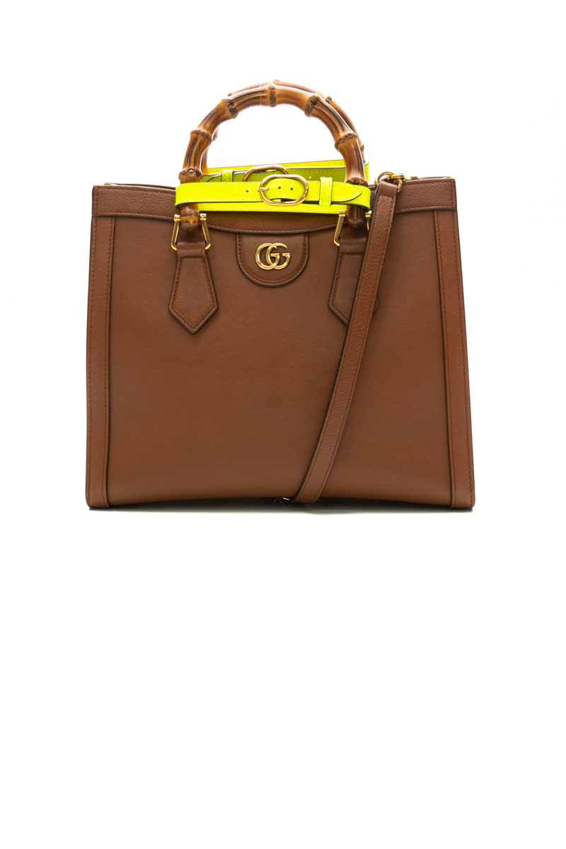 Gucci-Diana-Small-Tote-Bag-296399