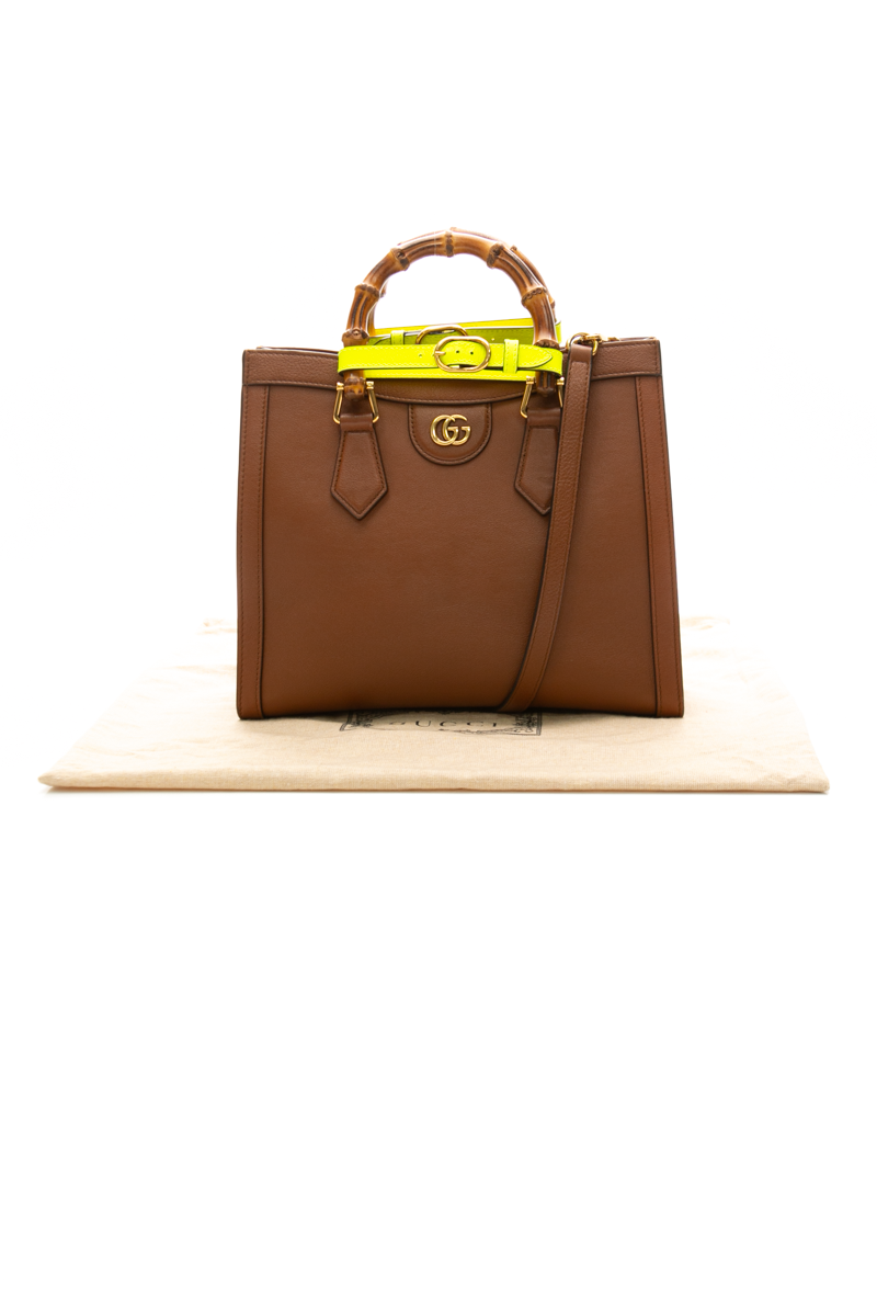 Diana Small Tote Bag