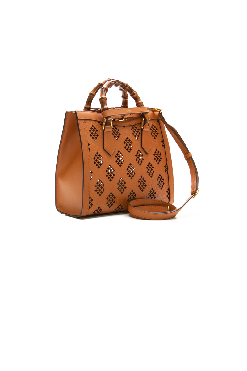 Diana NM Small Tote Bag