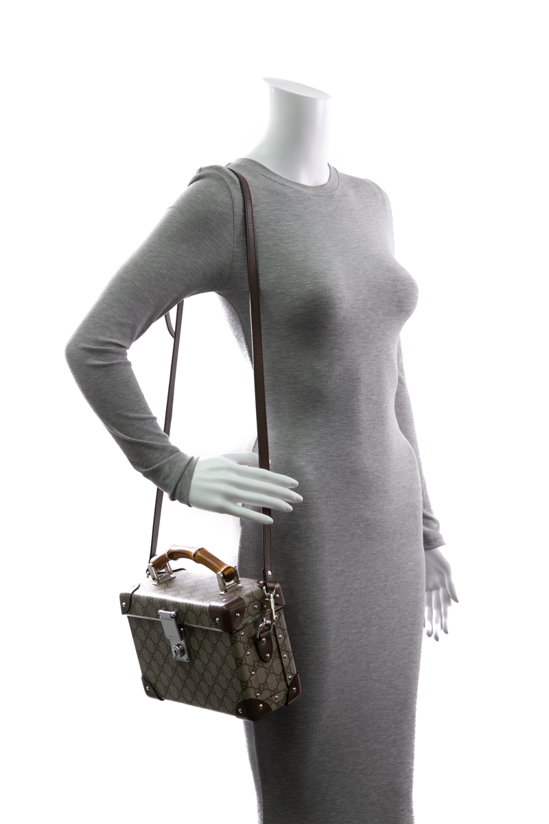 Gucci-Globe-Trotter-Vanity-Case-Bag-300003