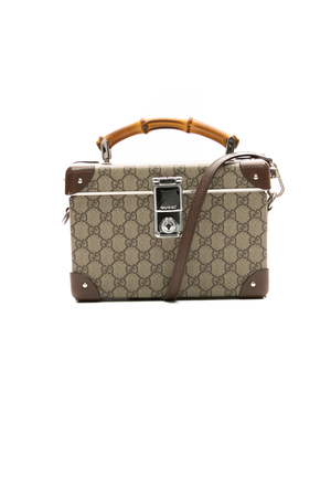 Gucci-Globe-Trotter-Vanity-Case-Bag-300003