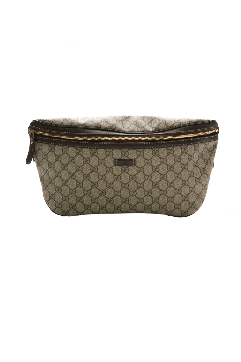 Gucci-GG-Belt-Bag-293444