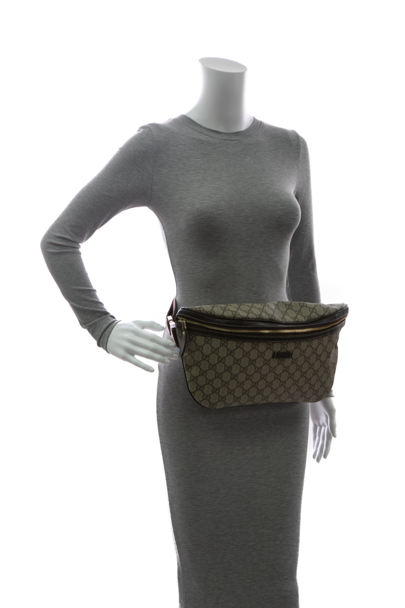 Gucci-GG-Belt-Bag-293444