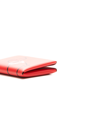 Teckel a Collier Calvi Duo Card Case