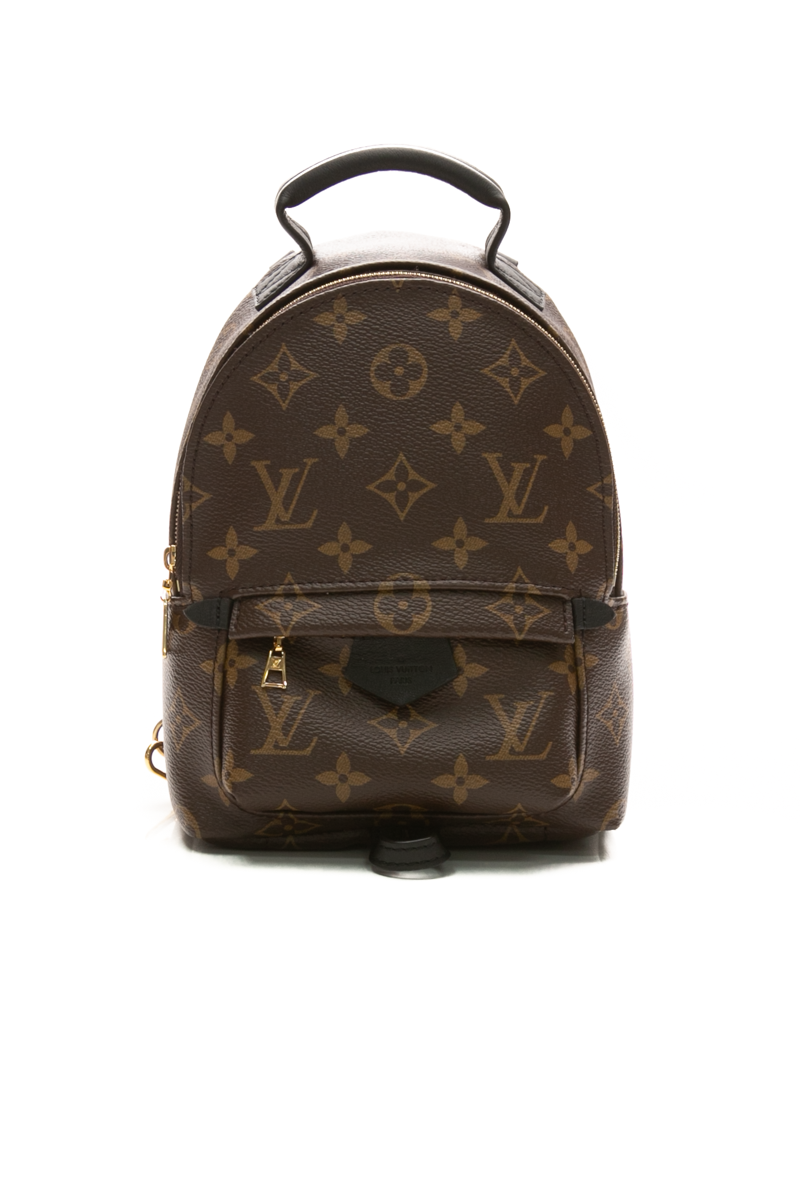 Louis-Vuitton-Palm-Springs-Mini- Backpack-295164