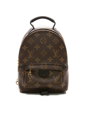 Louis-Vuitton-Palm-Springs-Mini- Backpack-295164