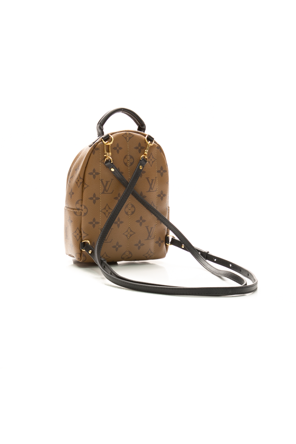 Louis Vuitton Palm Springs Mini Backpack