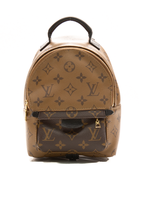 Louis-Vuitton-Palm-Springs-Mini- Backpack-296132