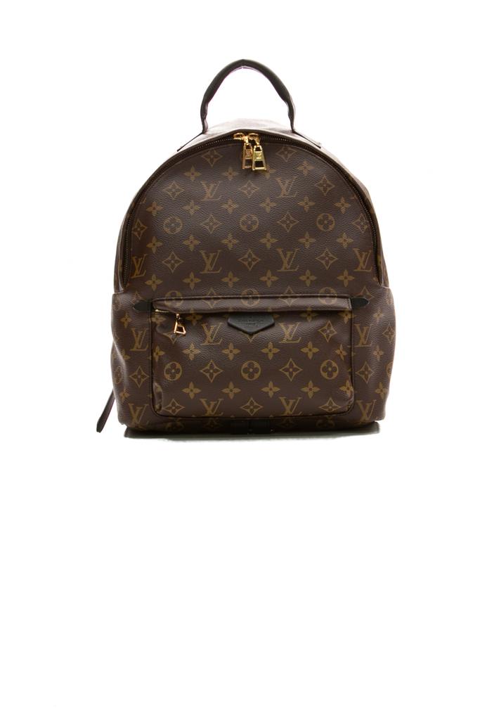 Louis Vuitton Palm Springs MM Backpack