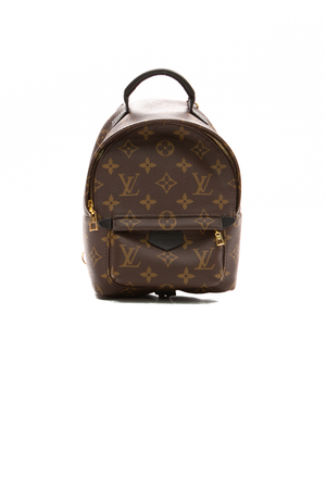 Louis-Vuitton-Palm-Springs-Mini- Backpack-299400
