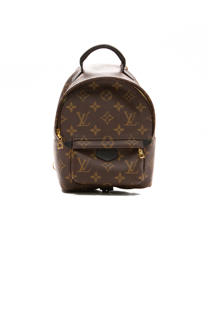 Louis Vuitton Palm Springs Mini Backpack