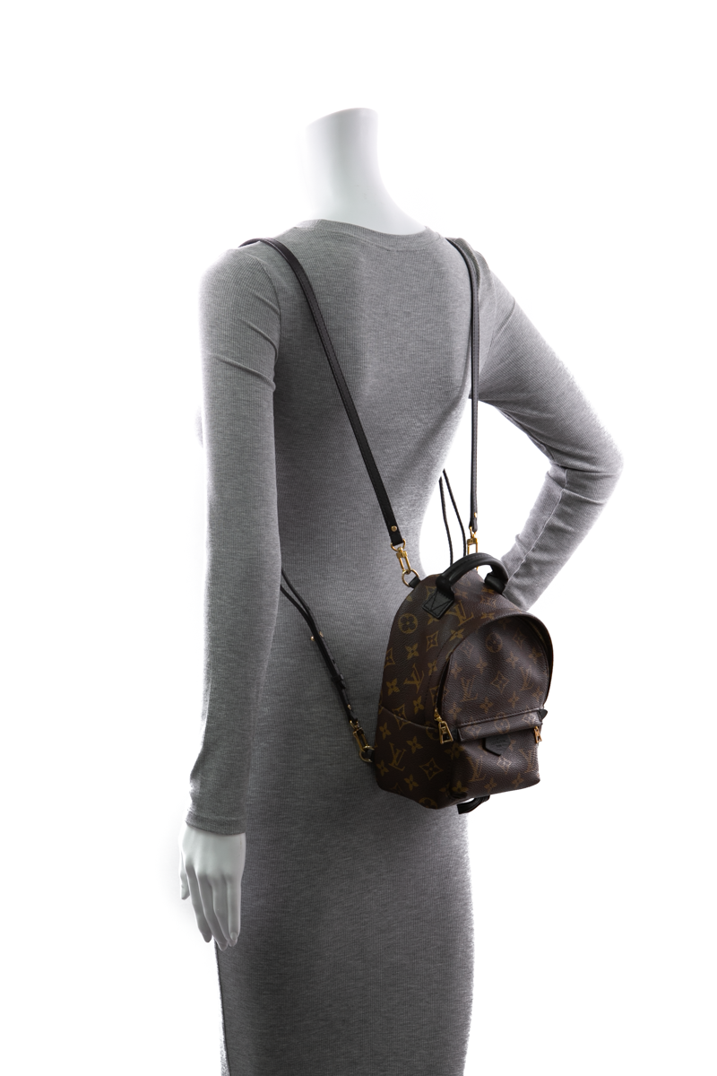 Louis-Vuitton-Palm-Springs-Mini- Backpack-299400