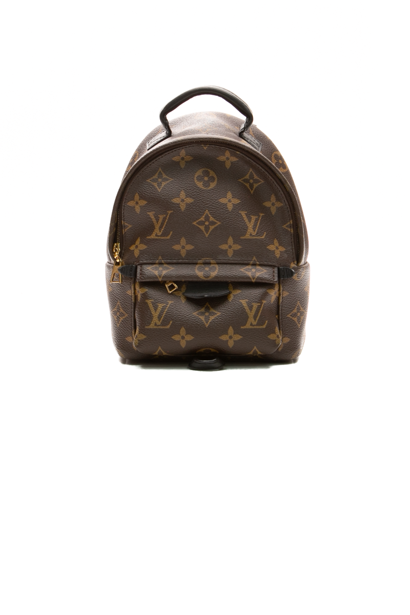 29816-louis-vuitton-Palm-Springs-Mini-Backpack