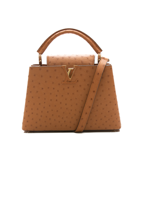 Louis-Vuitton-Capucines-BB-Bag-294348