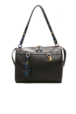 Louis-Vuitton-Speedy-Amazon-Bag-295182