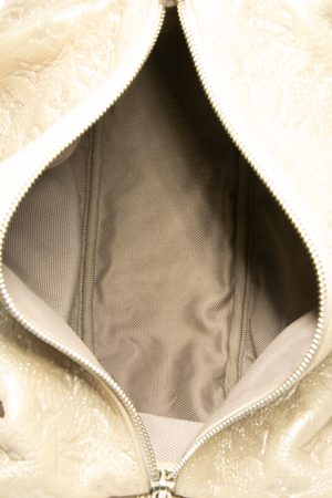 Limited Edition Shimmer Comete Bag