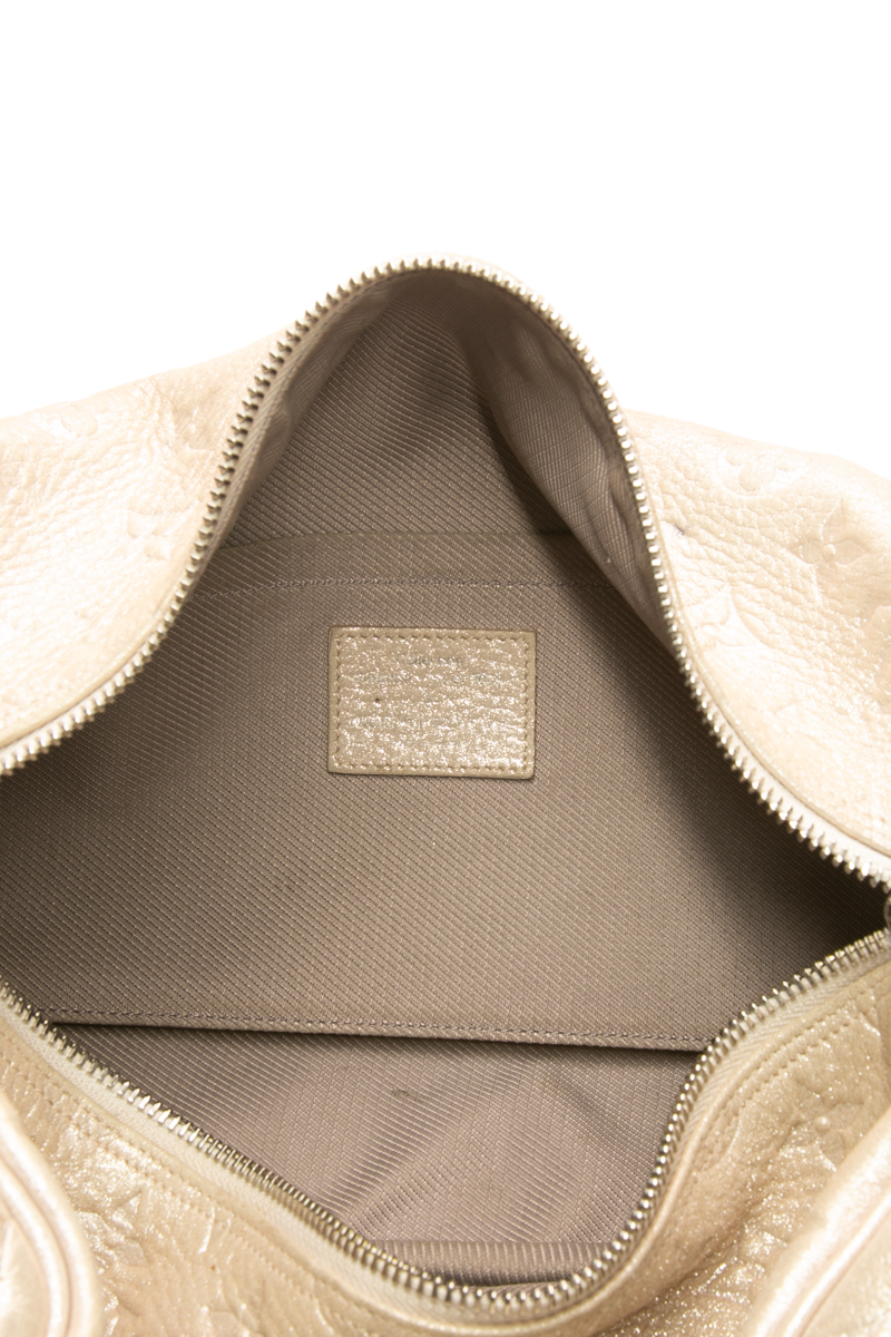 Limited Edition Shimmer Comete Bag