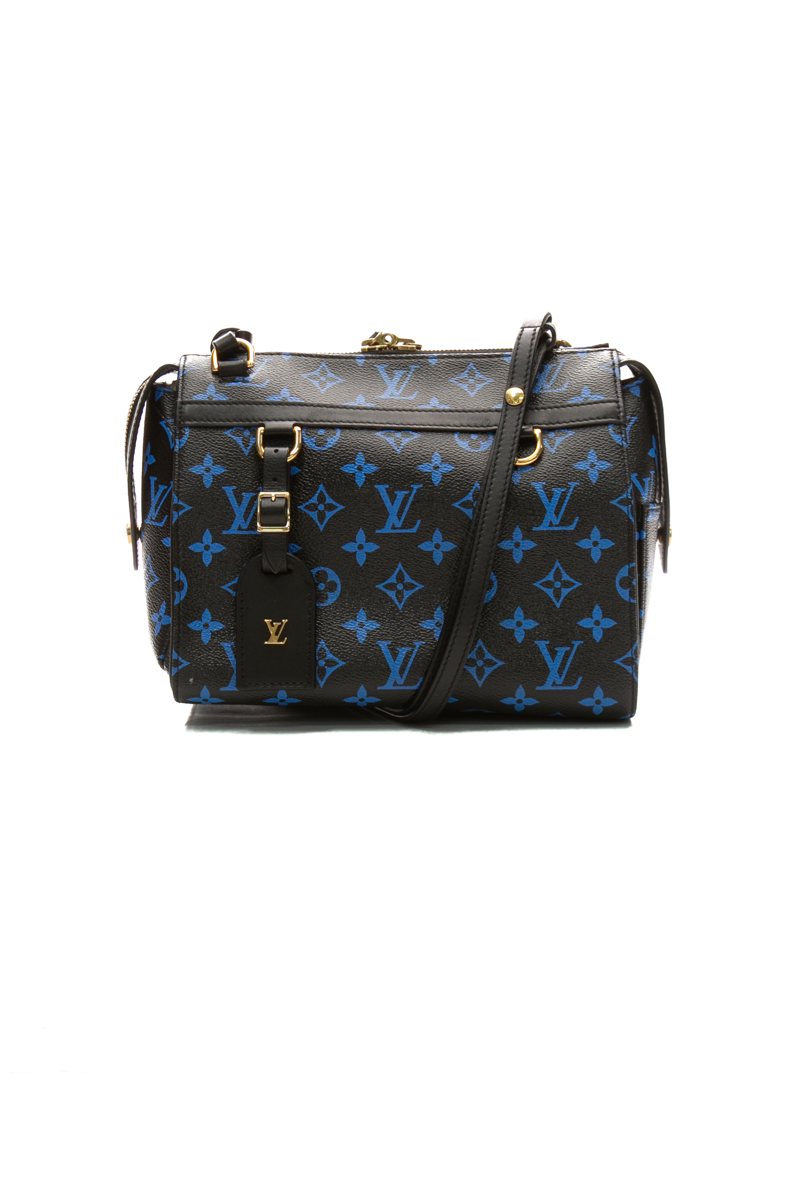 Louis-Vuitton-Speedy-Amazon-PM-Bag-295614