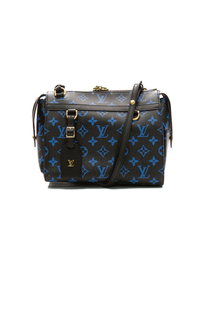 Louis-Vuitton-Speedy-Amazon-PM-Bag-295614