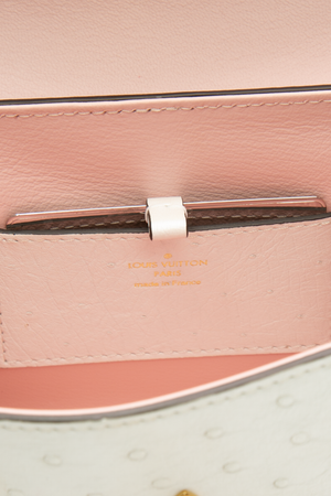 Mini Rose Des Vents Bag