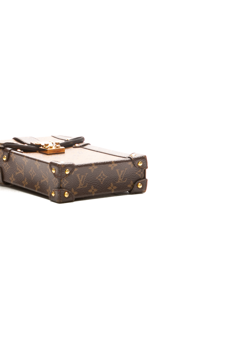 Vertical Trunk Pochette