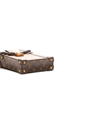 Vertical Trunk Pochette