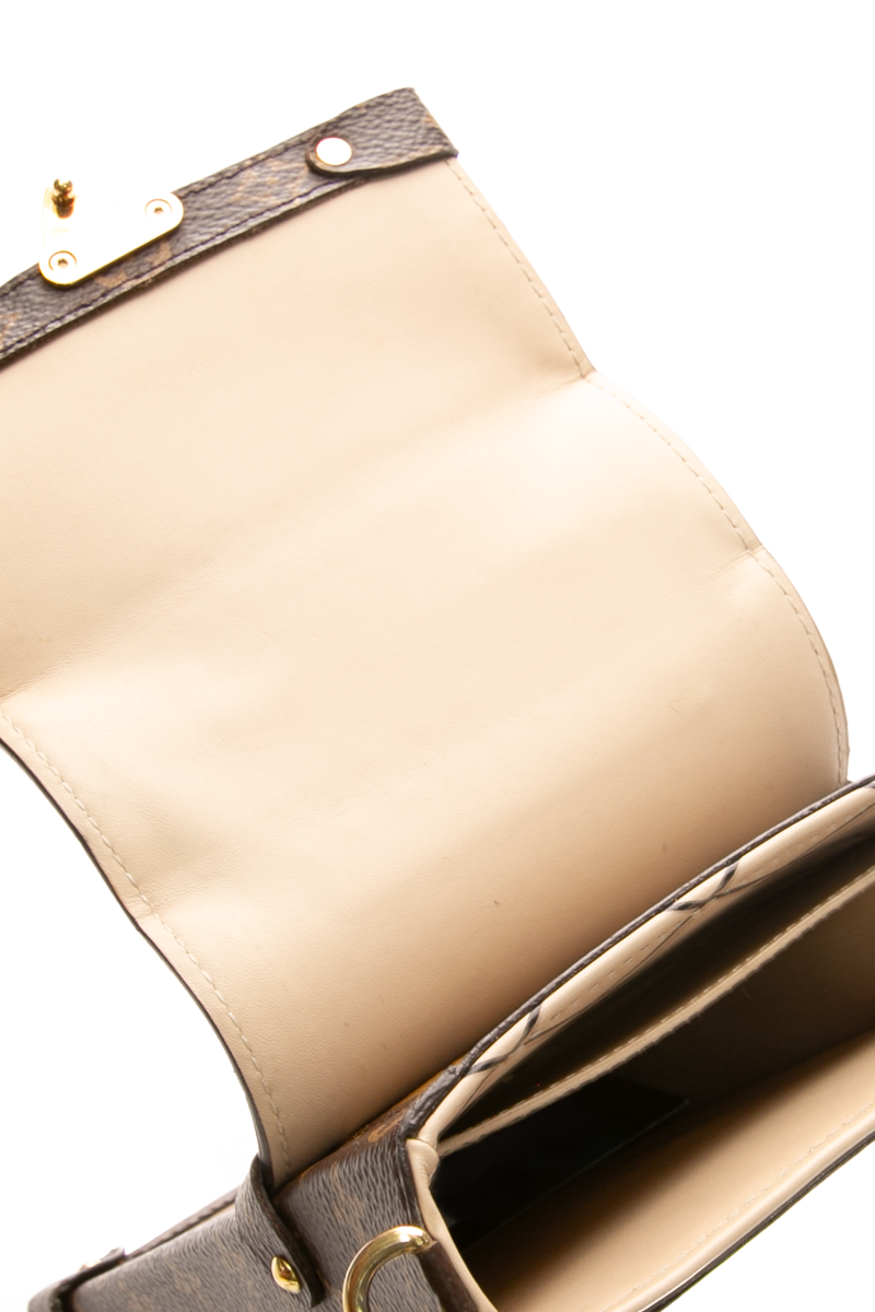 Vertical Trunk Pochette