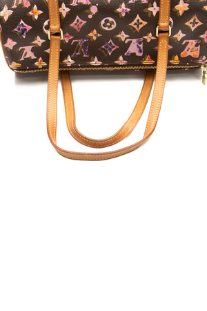 x Richard Prince Vintage Watercolor Aquarelle Papillon 30 Bag
