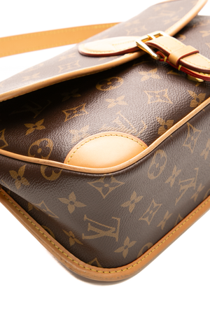 Diane Bag
