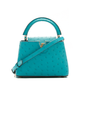 Louis-Vuitton-Capucines-Mini-Bag-299037