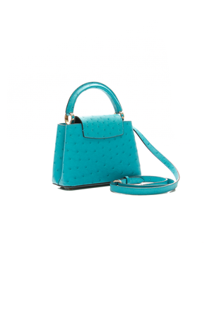 Capucines Mini Bag