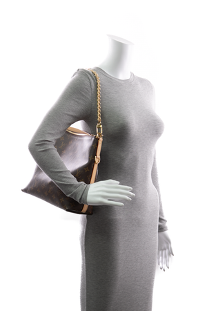Multipass Bag