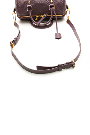 Speedy Bandouliere 25 Bag