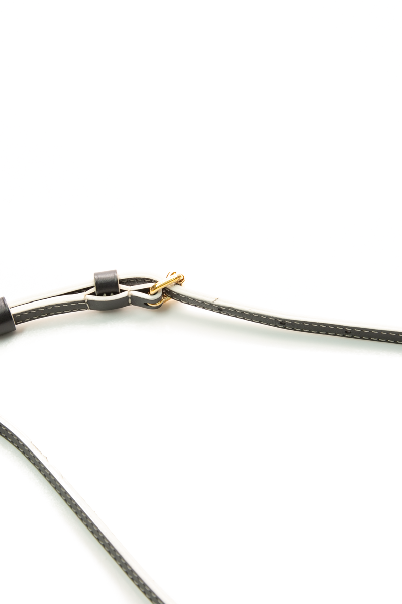 Petite Malle Bag