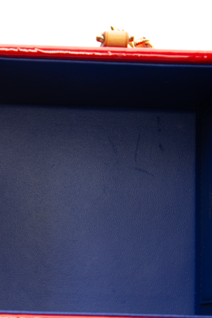 Bleecker Box Bag