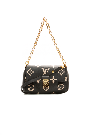 Louis-Vuitton-Favorite-Bag-299908