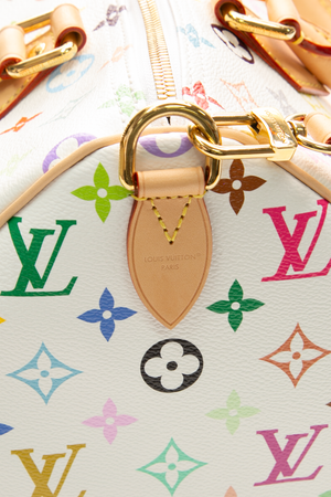 x TM Speedy Soft 30 Bag
