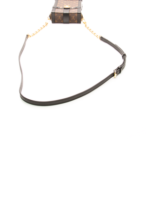 Vertical Trunk Pochette