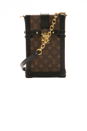 Louis-Vuitton-Vertical-Trunk-Pochette-300006