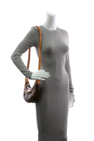 Loop Hobo Bag