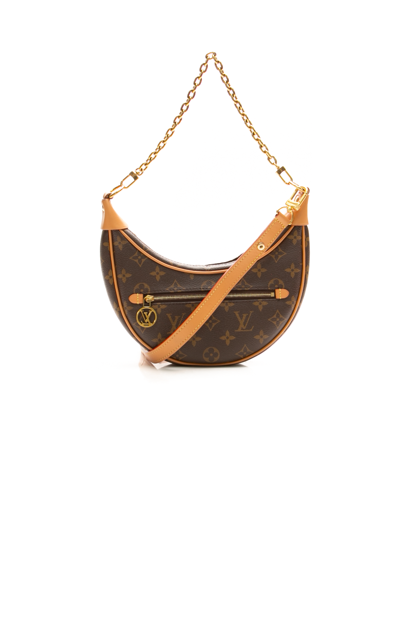 Louis-Vuitton-Loop-Hobo-Bag-300137